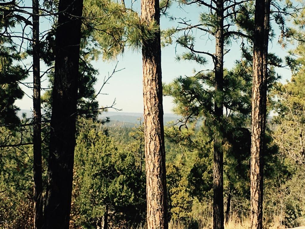 2354 S CEDAR Pine Lane, Pinetop, AZ 85935