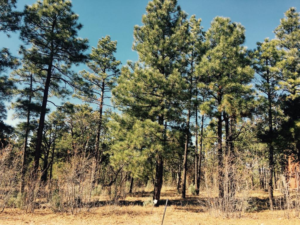 2354 S CEDAR Pine Lane, Pinetop, AZ 85935