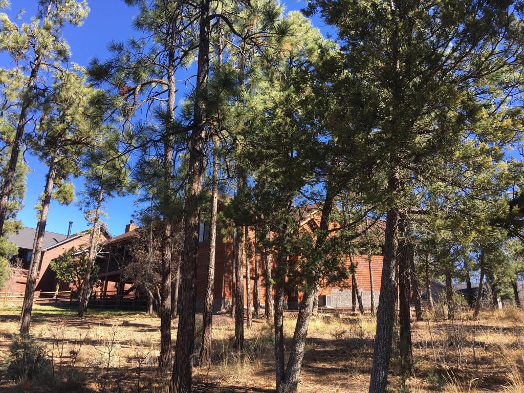 2354 S CEDAR Pine Lane, Pinetop, AZ 85935