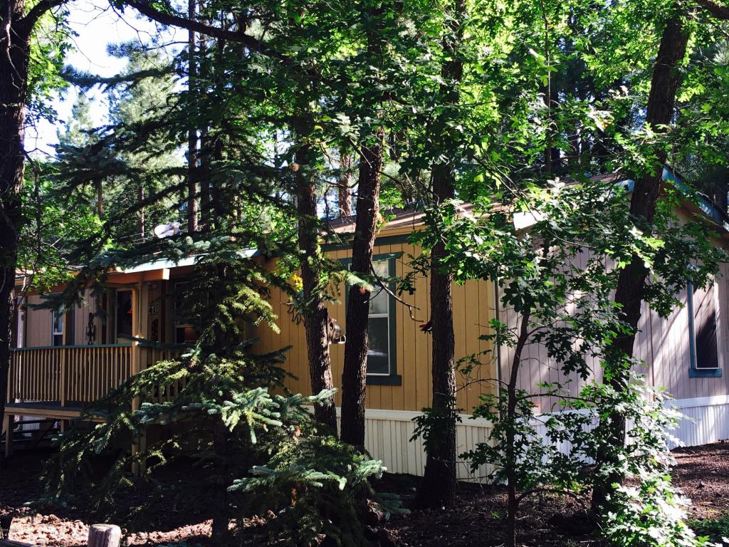 4265 E BLUE RIDGE Loop, Pinetop, AZ 85935