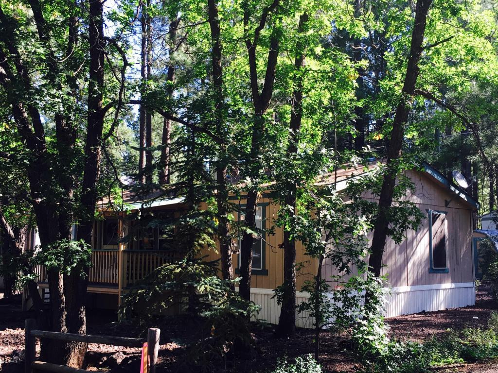 4265 E Blue Ridge Loop, Pinetop, AZ 85935