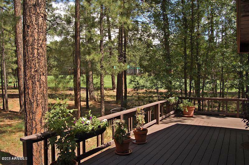 7139 N Bucksprings Road, Pinetop, AZ 85935