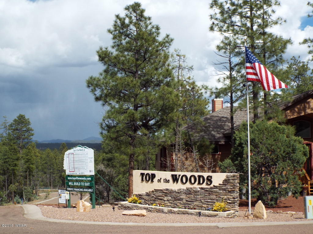 2329 S Willow Way, Pinetop, AZ 85935