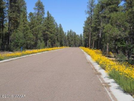 2329 S Willow Way, Pinetop, AZ 85935