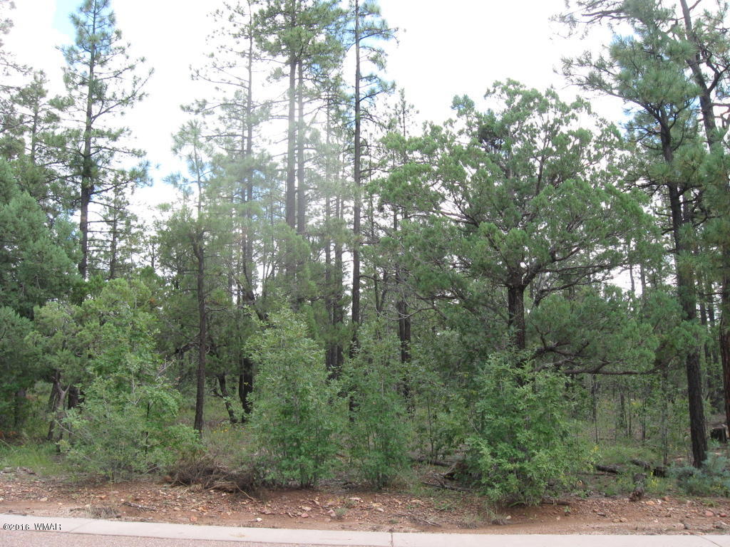 2329 S Willow Way, Pinetop, AZ 85935