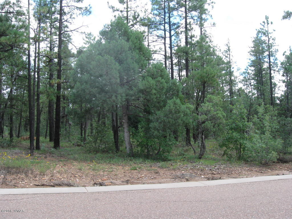 2329 S Willow Way, Pinetop, AZ 85935