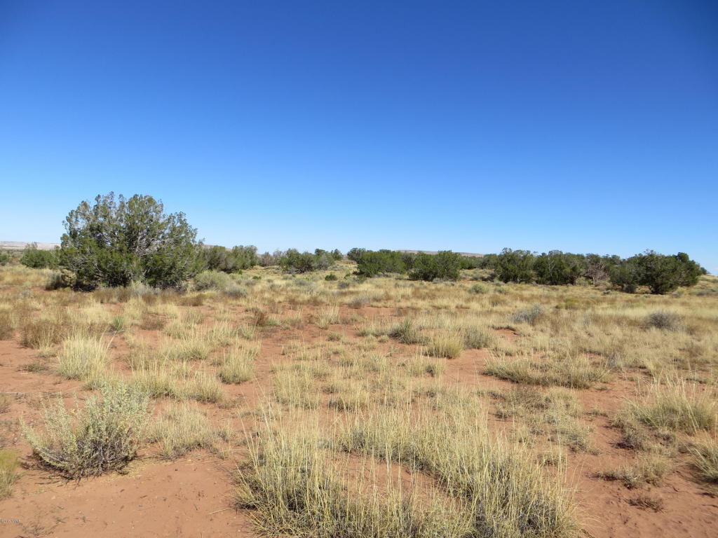 CtyRd 5152 NW @ Hwy 180, St. Johns, AZ 85936