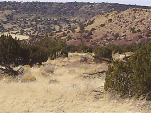 Lots 276, River Springs Ranch, St. Johns, AZ 85936