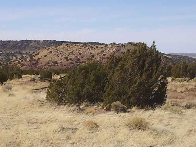 Lots 276, River Springs Ranch, St. Johns, AZ 85936