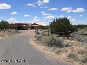 MM 341 Hwy 191, Witch Wells, AZ 85936