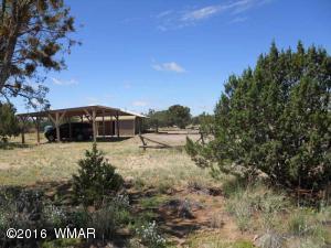 MM 341 Hwy 191, Witch Wells, AZ 85936