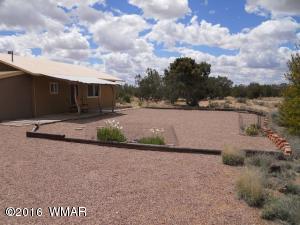 MM 341 Hwy 191, Witch Wells, AZ 85936