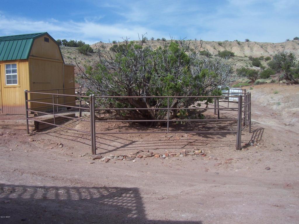 Lot 214 River Springs Ranch, St. Johns, AZ 85936
