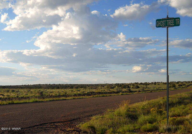 15 Lots Snowflake-Woodruff Road, Snowflake, AZ 85937
