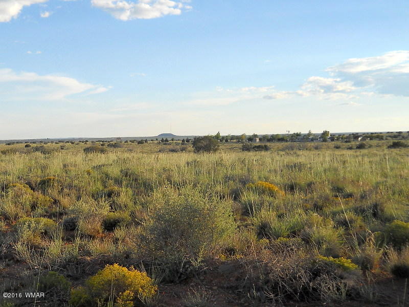 15 Lots Snowflake-Woodruff Road, Snowflake, AZ 85937