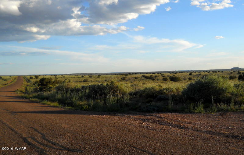 15 Lots Snowflake-Woodruff Road, Snowflake, AZ 85937