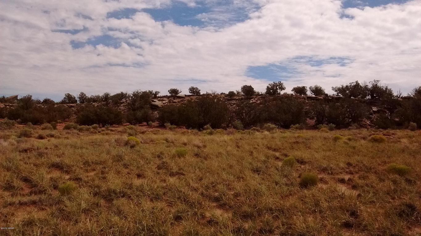 8513 E Tryon Lane, Snowflake, AZ 85937