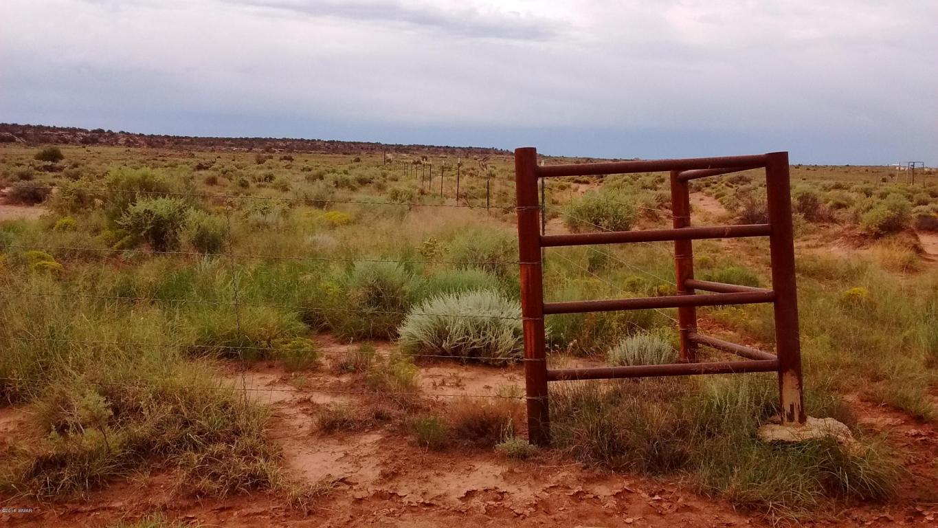 8513 E Tryon Lane, Snowflake, AZ 85937