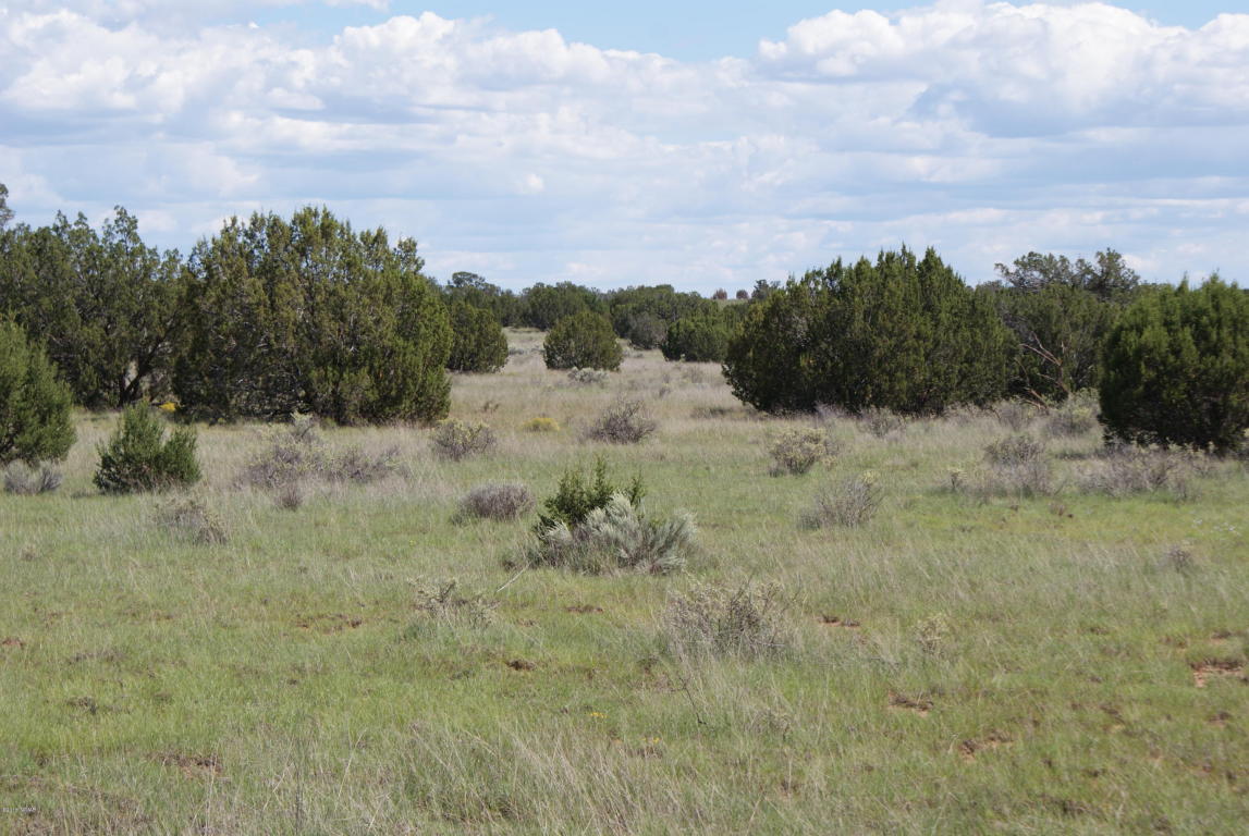 3795 Bum Heel Ranch Road, Snowflake, AZ 85937