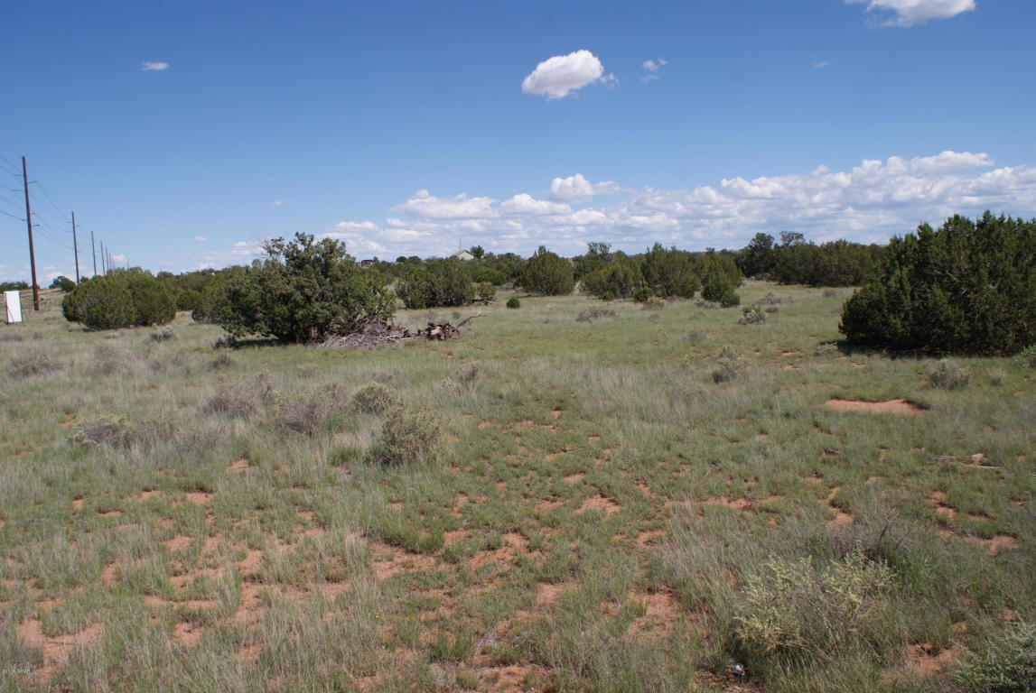 3795 Bum Heel Ranch Road, Snowflake, AZ 85937