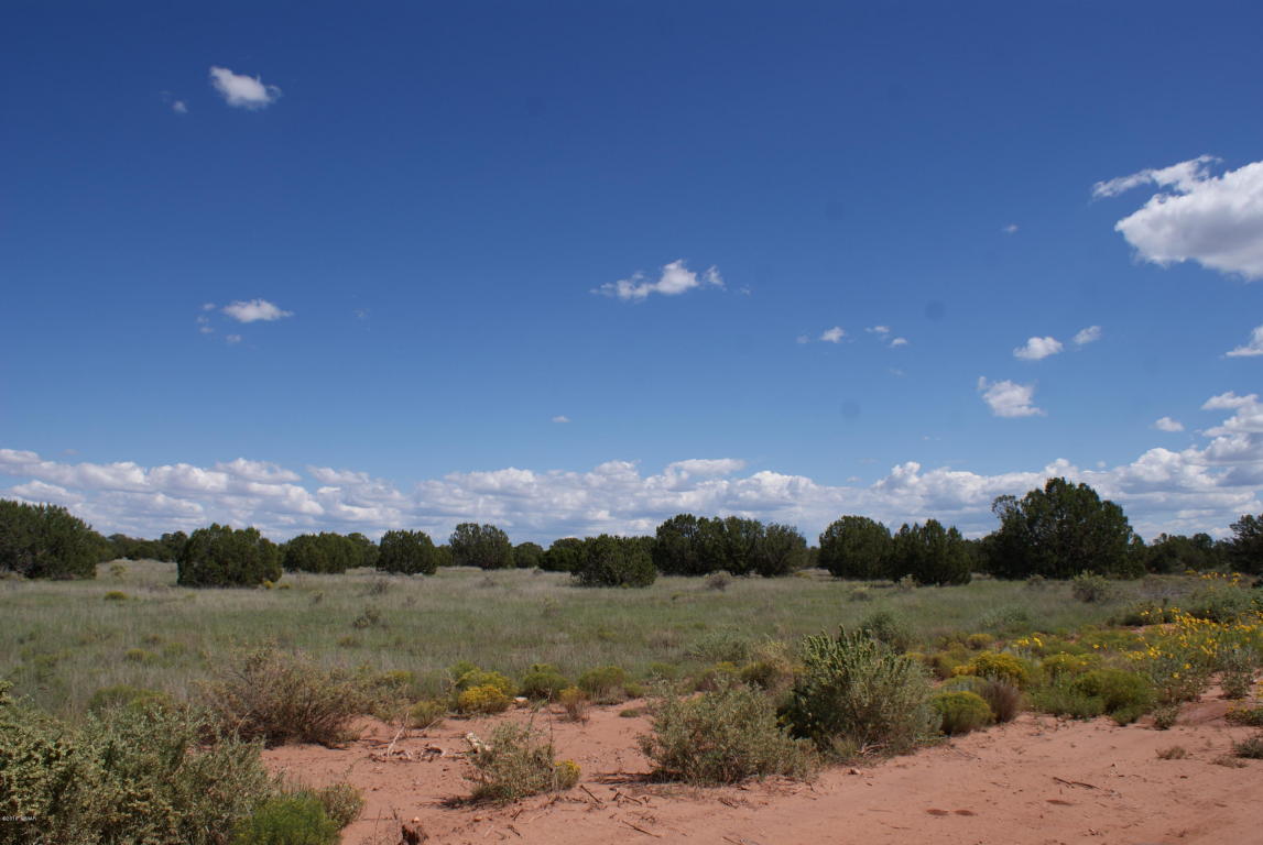 3795 Bum Heel Ranch Road, Snowflake, AZ 85937