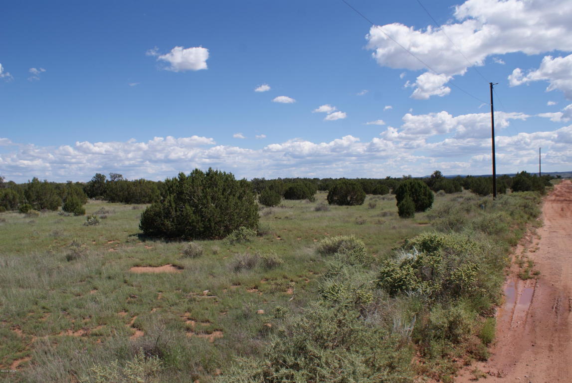 3795 Bum Heel Ranch Road, Snowflake, AZ 85937