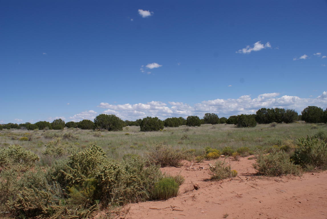 3795 Bum Heel Ranch Road, Snowflake, AZ 85937