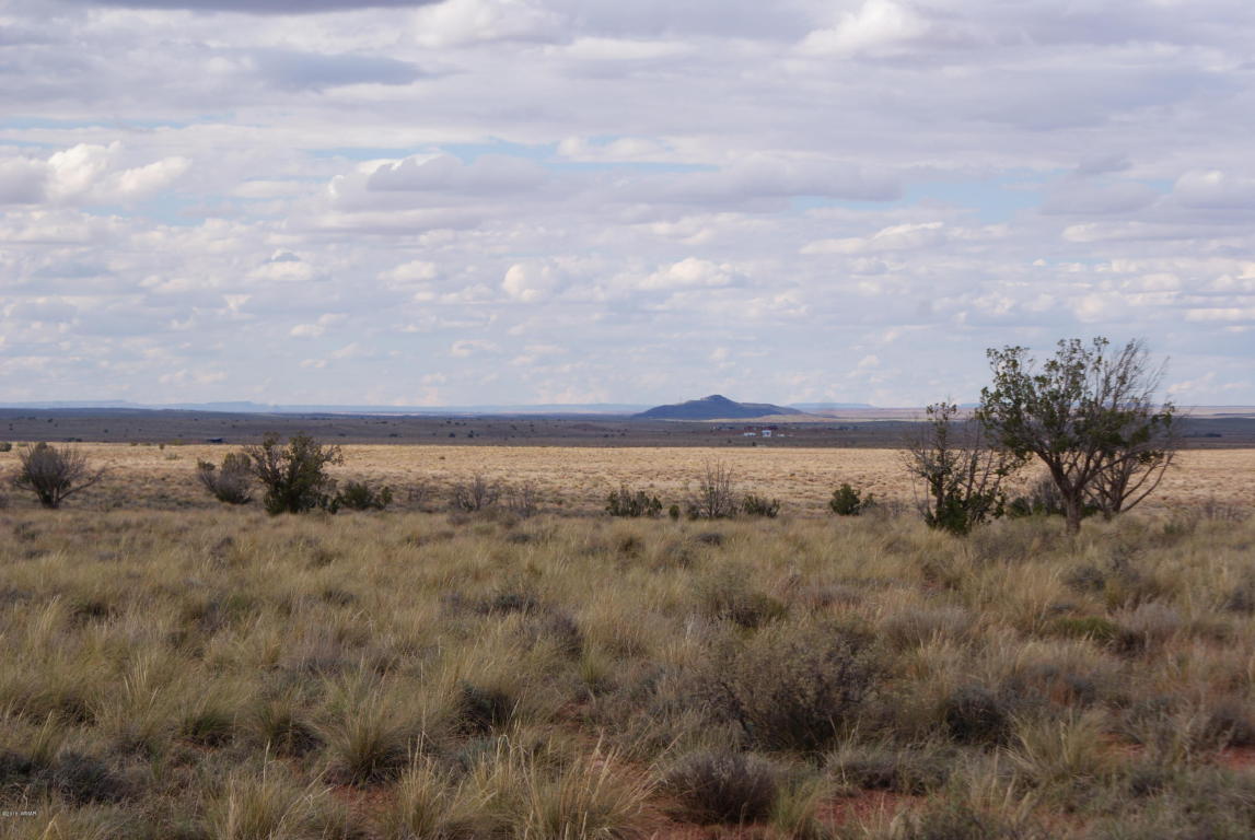 8027 Dawn Star Trail, Snowflake, AZ 85937