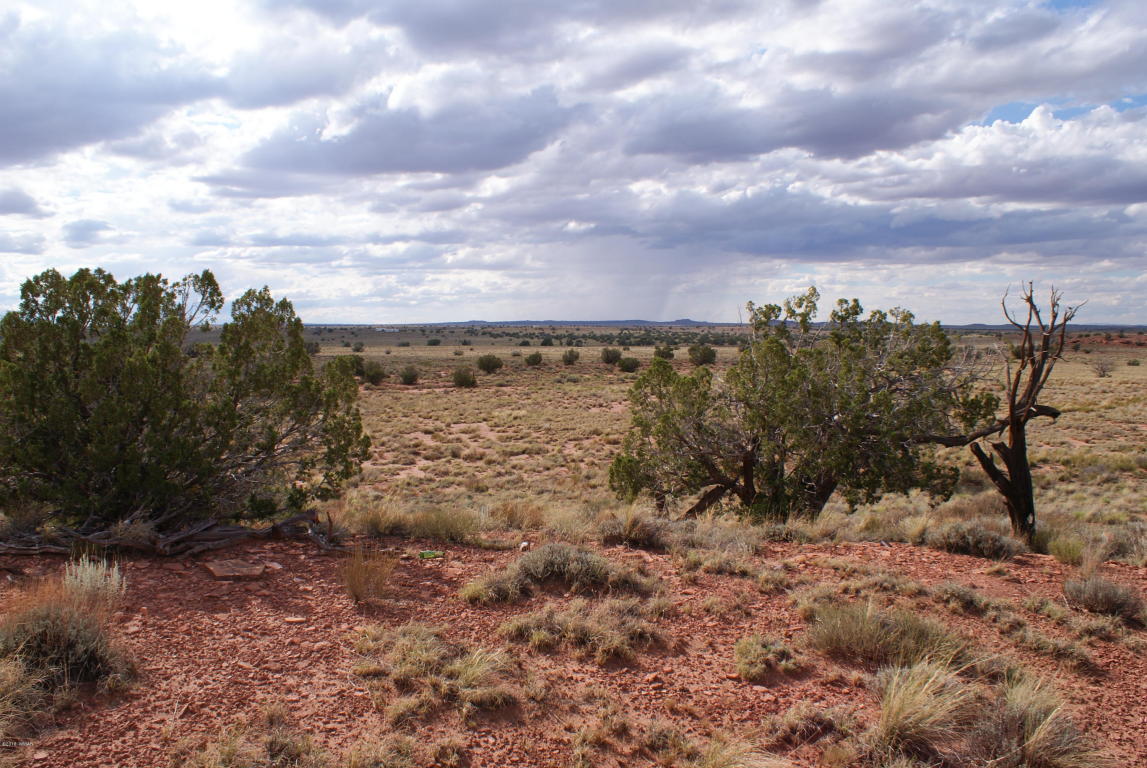 8027 Dawn Star Trail, Snowflake, AZ 85937