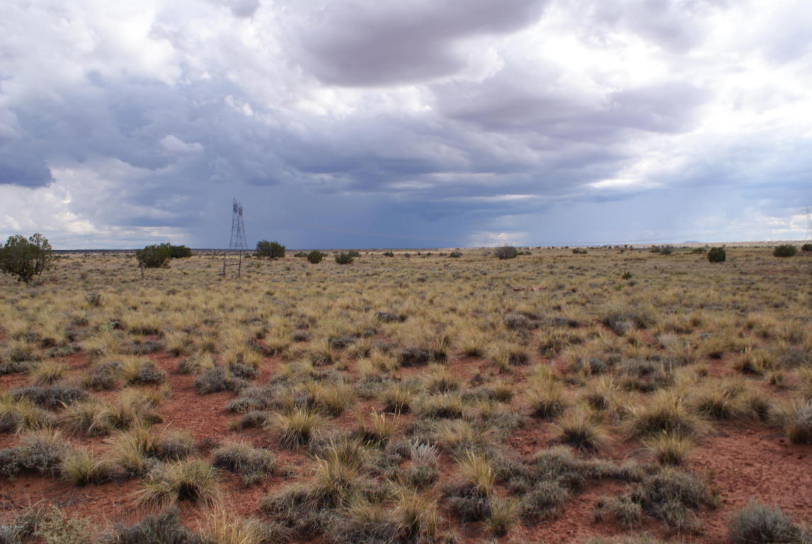 8027 Dawn Star Trail, Snowflake, AZ 85937