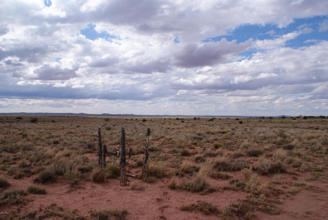 8027 Dawn Star Trail, Snowflake, AZ 85937