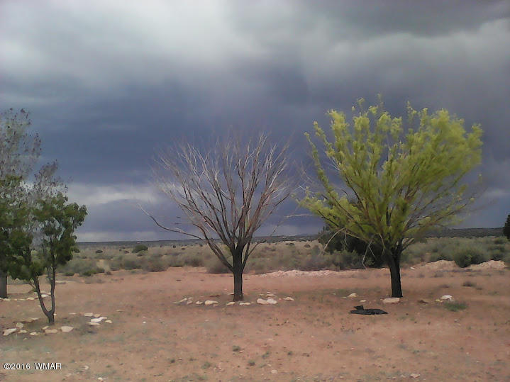4064 CLYDE Road, Snowflake, AZ 85937