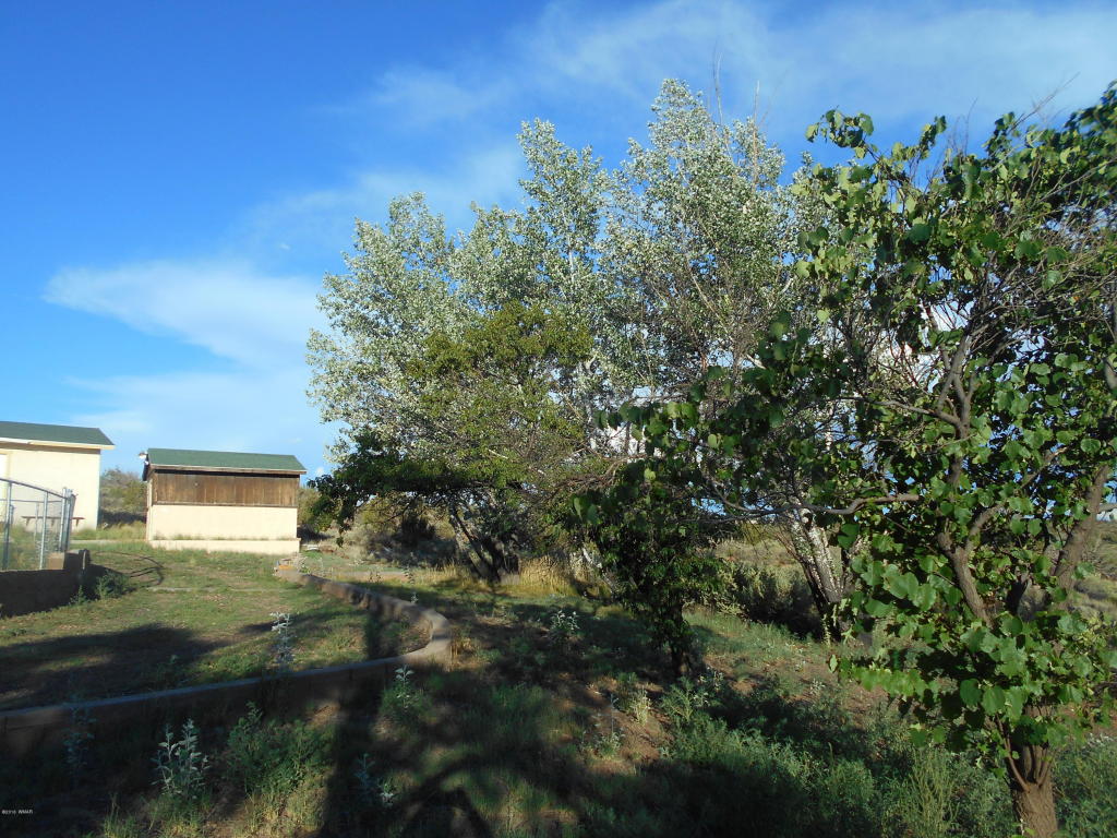 1731 Eager Avenue, Snowflake, AZ 85937