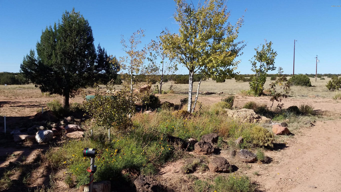 5487 Glasglow Drive, Snowflake, AZ 85937