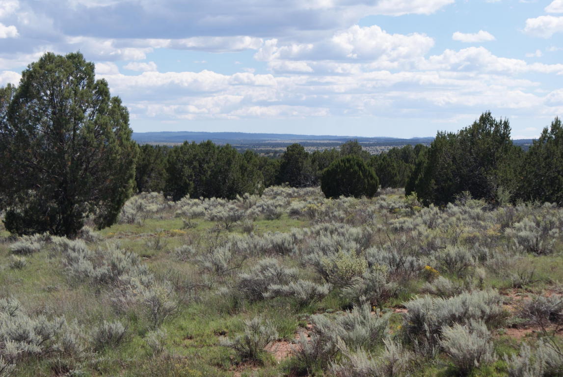 TBD Bum Heel Ranch Road, Snowflake, AZ 85937