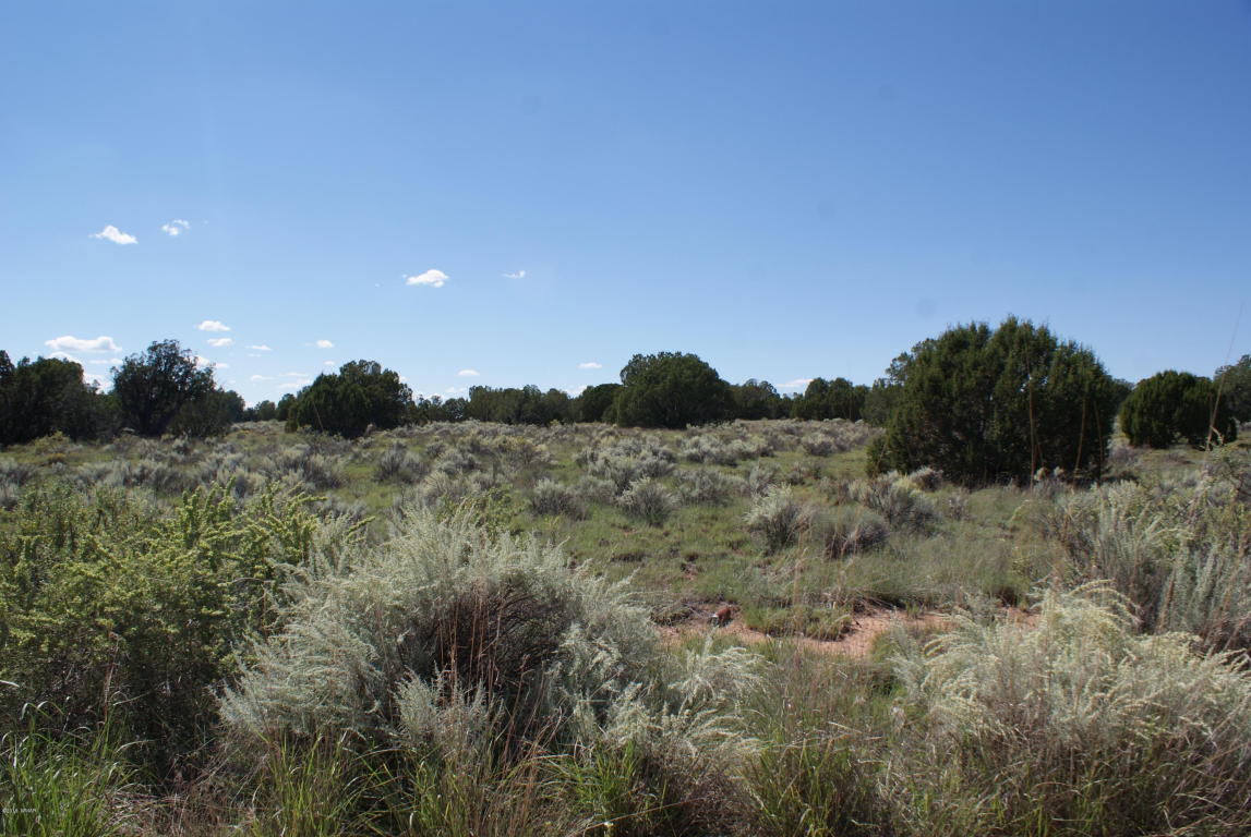 TBD Bum Heel Ranch Road, Snowflake, AZ 85937