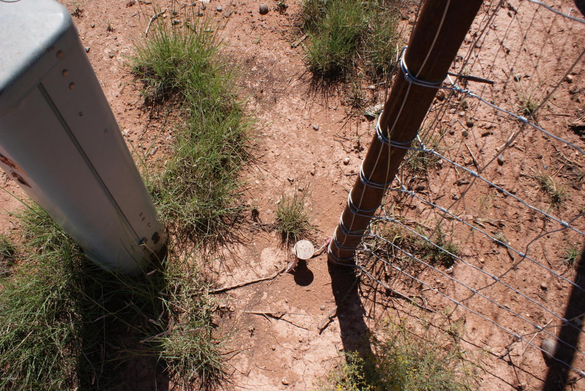 TBD Bum Heel Ranch Road, Snowflake, AZ 85937