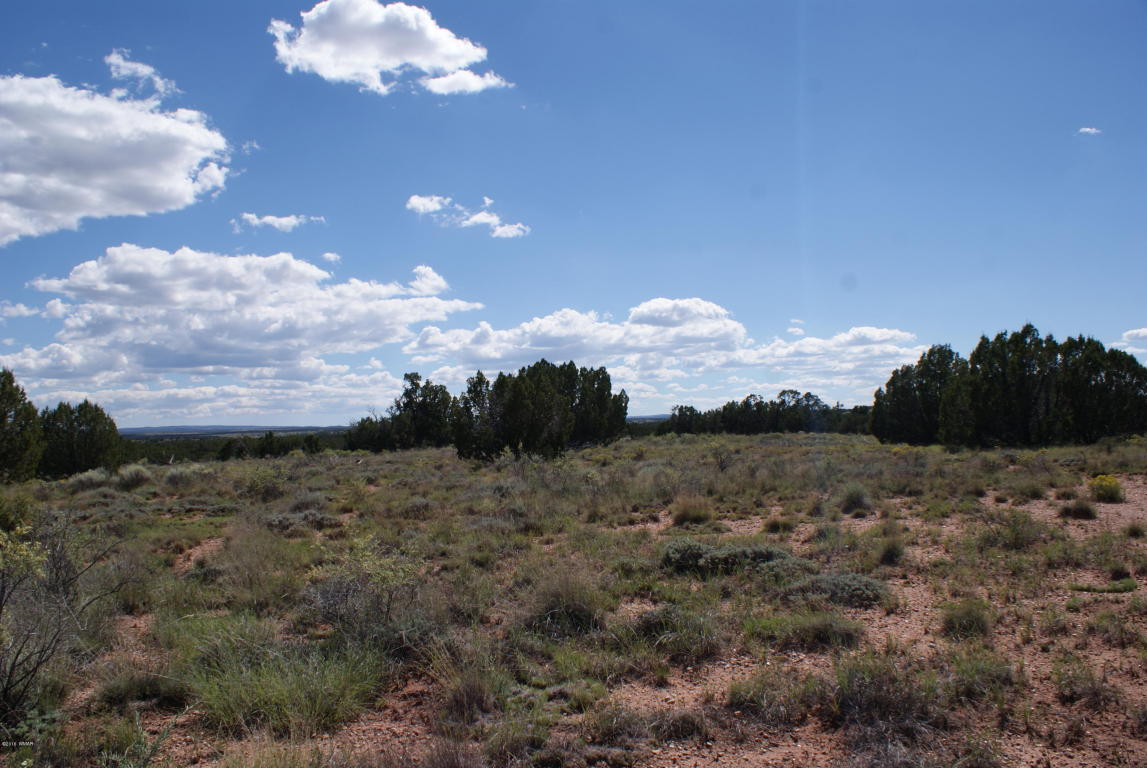 TBD Bum Heel Ranch Road, Snowflake, AZ 85937