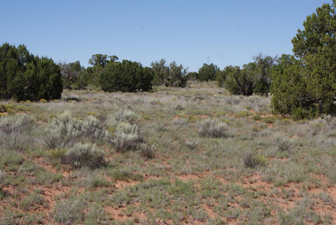 TBD Bum Heel Ranch Road, Snowflake, AZ 85937