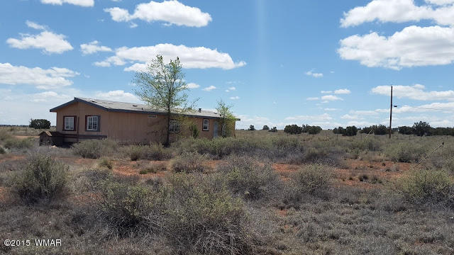 4507 SPRINGER Circle, Snowflake, AZ 85937