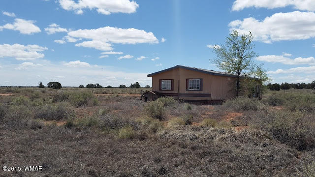 4507 SPRINGER Circle, Snowflake, AZ 85937