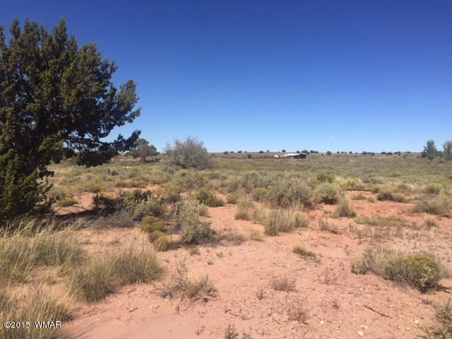 7513 E Sherwood Road, Snowflake, AZ 85937