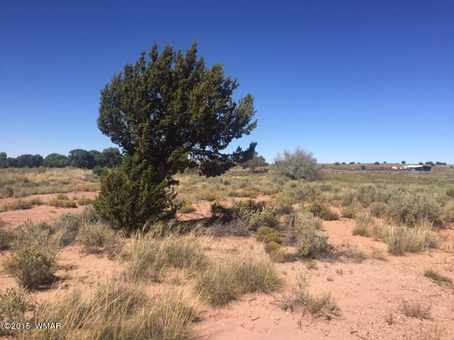 7513 E Sherwood Road, Snowflake, AZ 85937