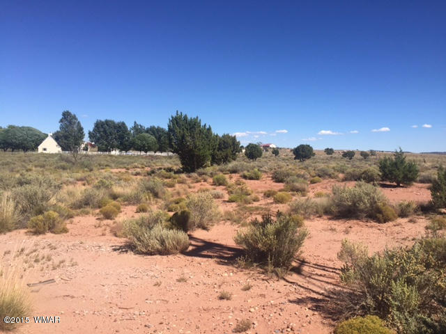 7513 E Sherwood Road, Snowflake, AZ 85937