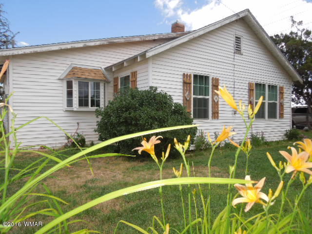 51 S Pima Street, Springerville, AZ 85938