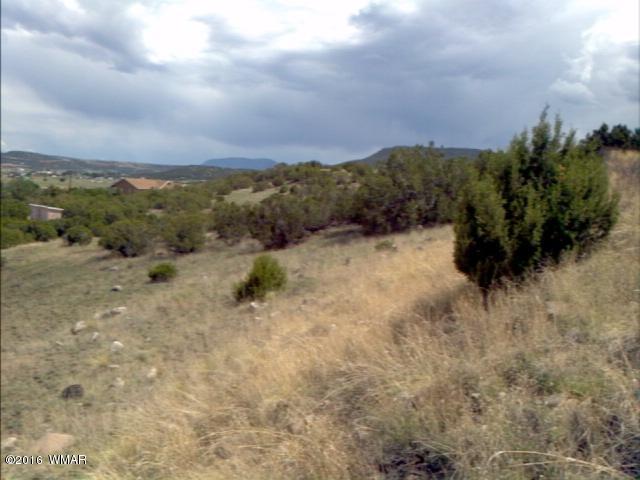 650 E Maricopa, Springerville, AZ 85938