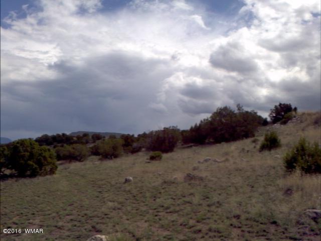 650 E Maricopa, Springerville, AZ 85938