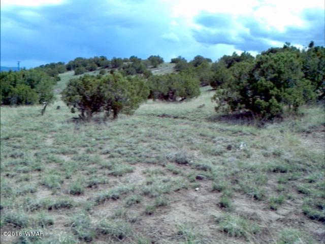 650 E Maricopa, Springerville, AZ 85938