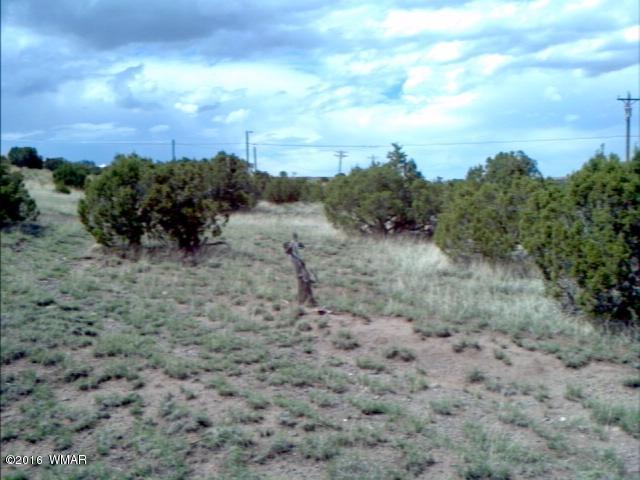 650 E Maricopa, Springerville, AZ 85938