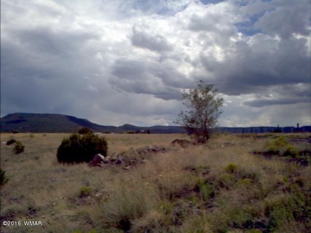 650 E Maricopa, Springerville, AZ 85938